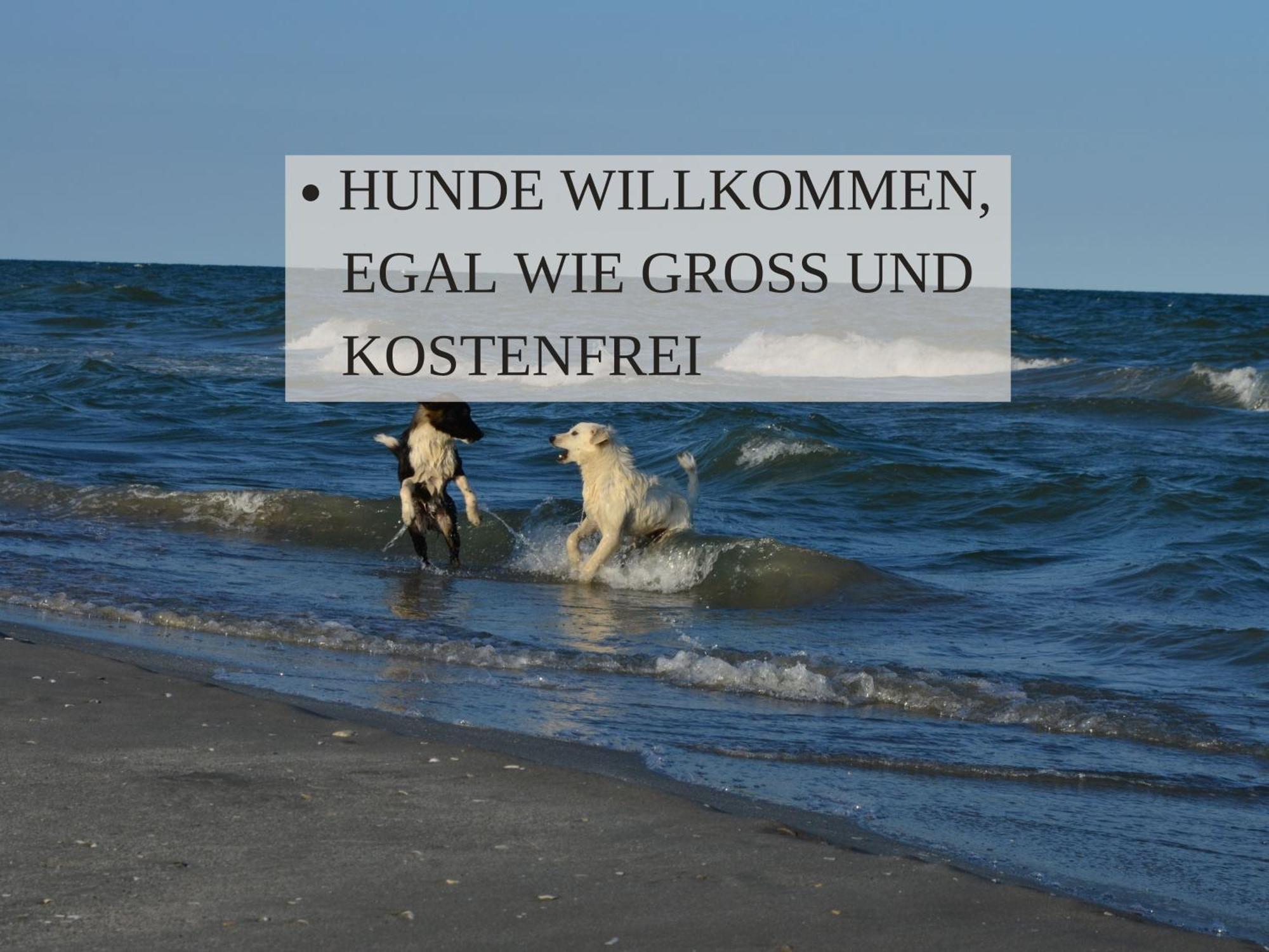 Haus Krabbe Apartments Mit Doppelbetten, Fuer 1-2 Personen, Hunde Kostenfrei Willkommen, Kostenfreier Parkplatz, Zwischen Bremerhaven Und Cuxhaven Gelegen Wremen Zewnętrze zdjęcie